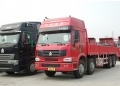 Camion de cargaison de 290 ps® de SINOTRUK HOWO 8 x 4, camion camion
