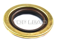 SINOTRUK HOWO Main reduction seal assembly